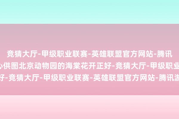 竞猜大厅-甲级职业联赛-英雄联盟官方网站-腾讯游戏北京市公园惩办中心供图北京动物园的海棠花开正好-竞猜大厅-甲级职业联赛-英雄联盟官方网站-腾讯游戏