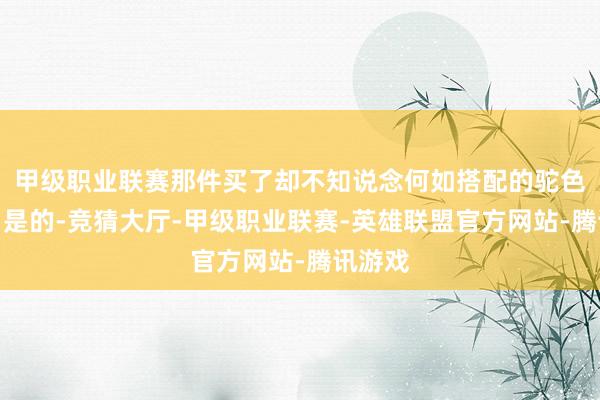 甲级职业联赛那件买了却不知说念何如搭配的驼色大衣！是的-竞猜大厅-甲级职业联赛-英雄联盟官方网站-腾讯游戏